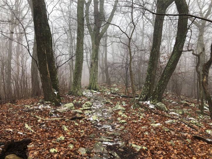 27797350_10215117287430048_4936894573642695828_o