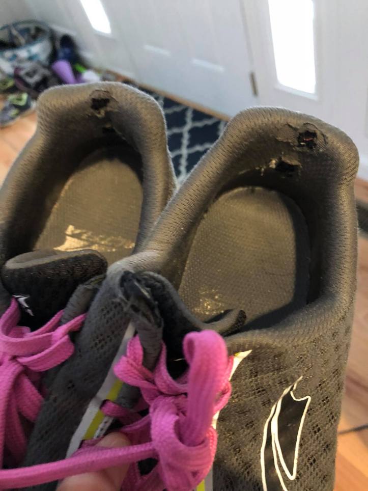 27021643_10214951622568530_5687595318091680068_o